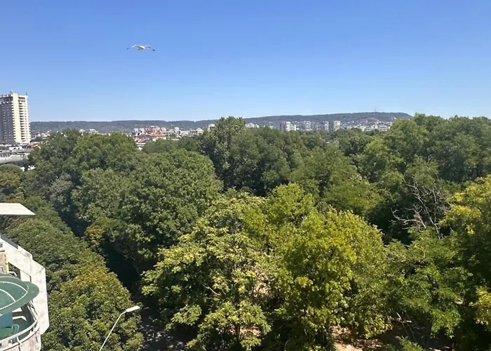 Daire Glarus With Infinity Sea View *